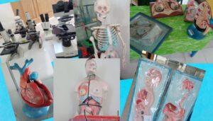 Sarana Pembelajaran Praktikum IPA